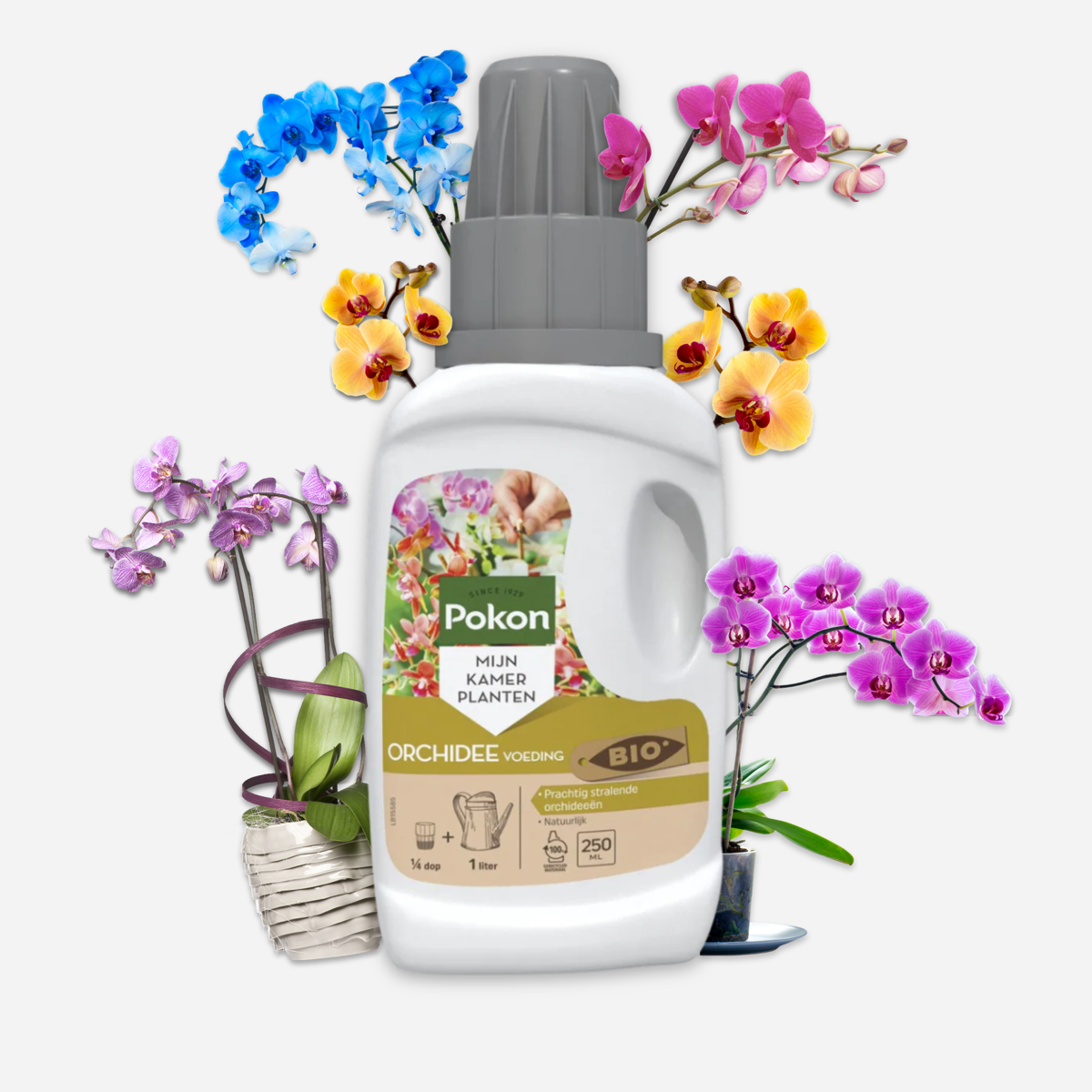 Pokon vloeibare orchideevoeding - 250ml