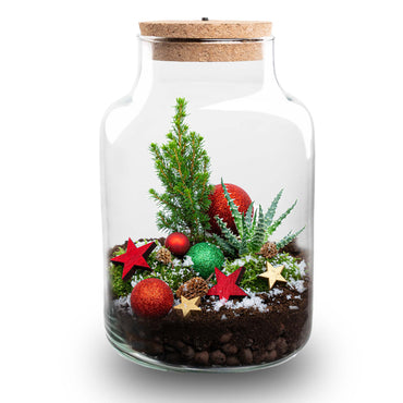 Frosty Christmas terrarium - Bottle garden DIY kit - Ø 17 cm ↑ 25 cm