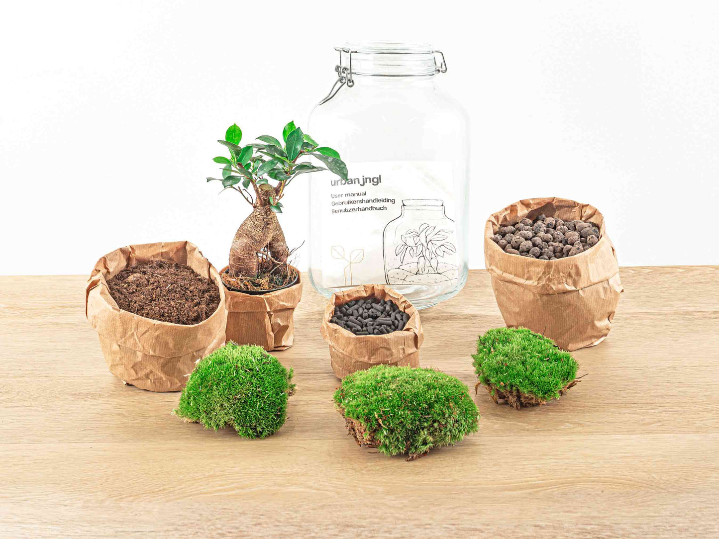 Jar Terrarium Kit - Calathea Lancifolia - Bottle Garden - ↑ 28 cm