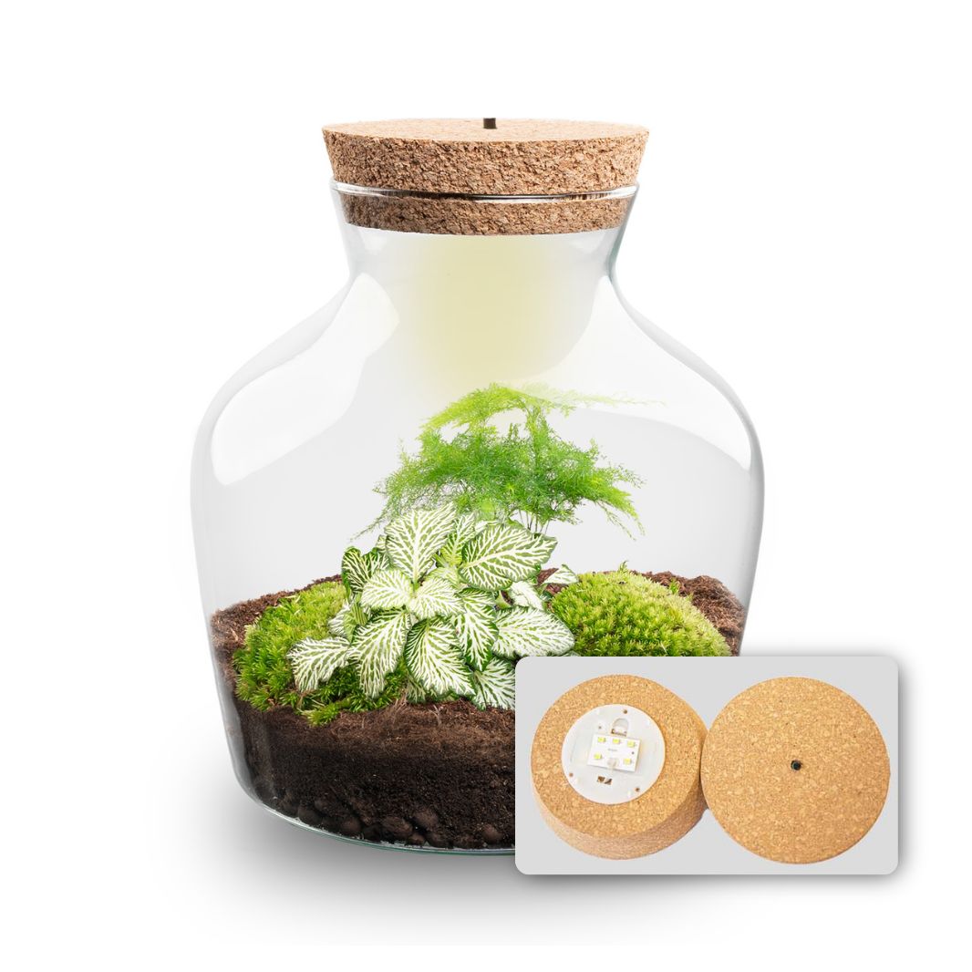 Terrarium DIY Kit with LED lightning - Little Joe - Bottle Garden - ↑ 21.5 cm