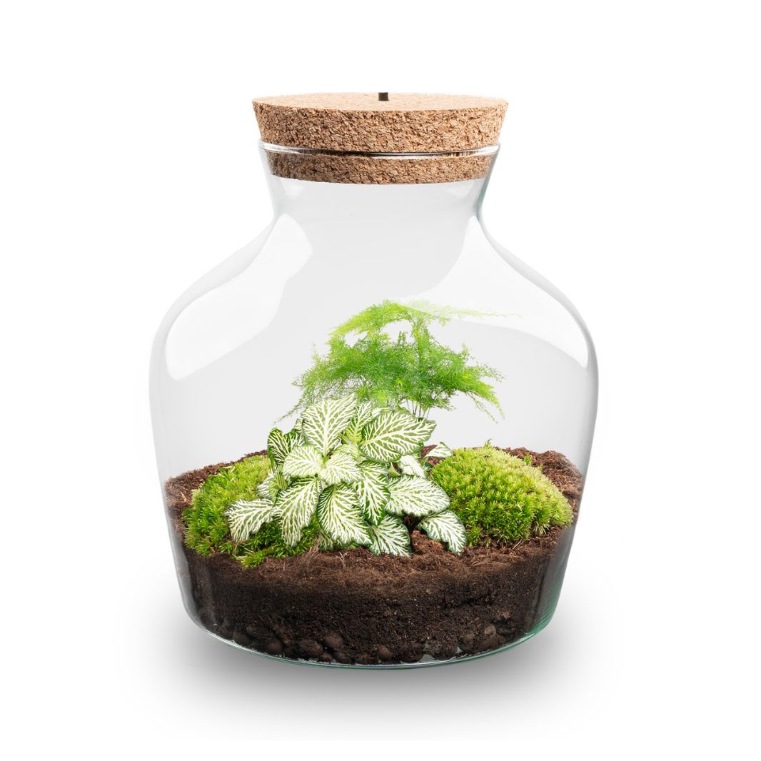 Terrarium DIY Kit with LED lightning - Little Joe - Bottle Garden - ↑ 21.5 cm