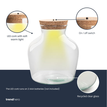 Terrarium DIY Kit with LED lightning - Little Joe - Bottle Garden - ↑ 21.5 cm