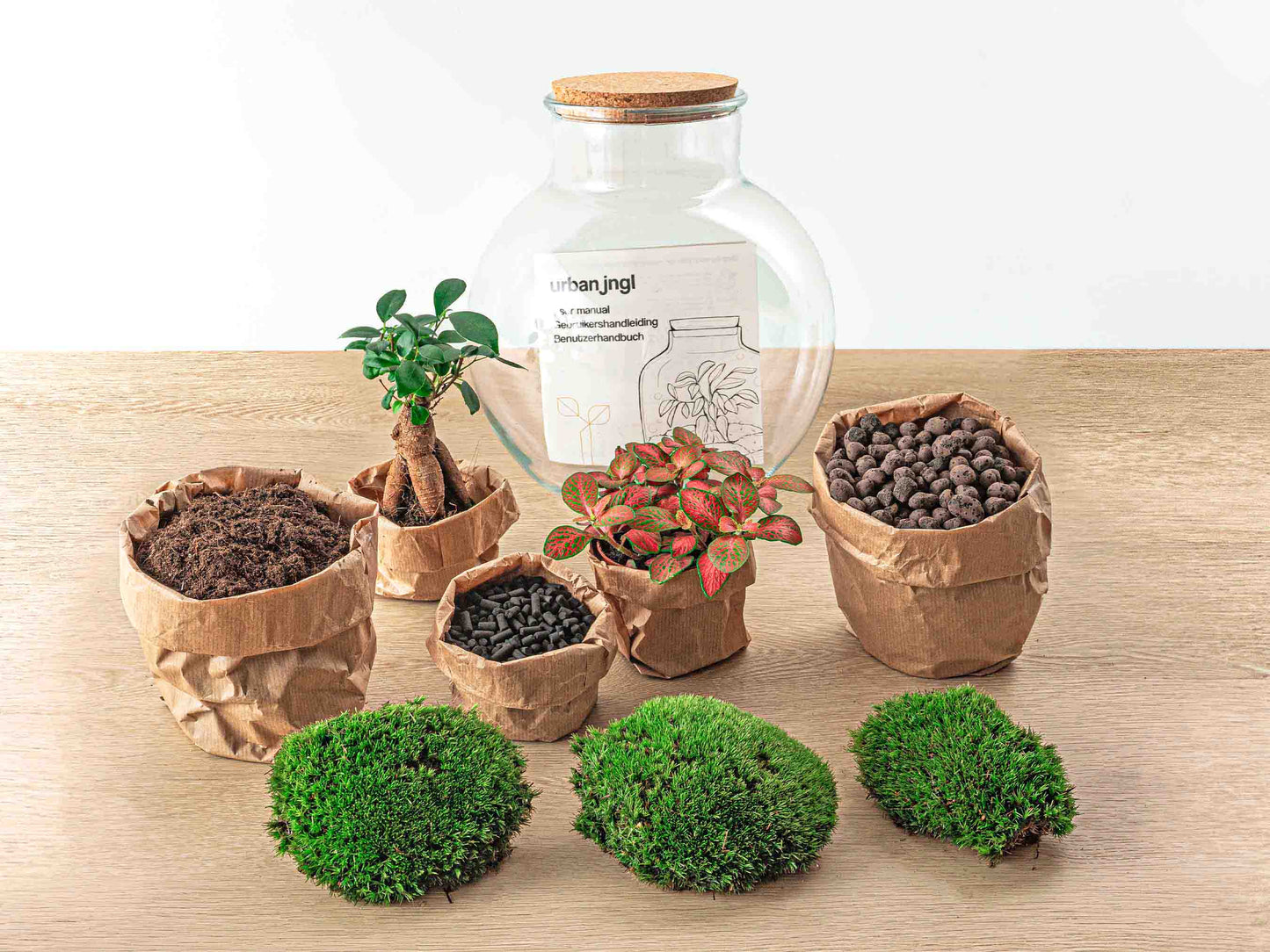 Terrarium DIY Kit - Teddy Bonsai - Bottle Garden - ↑ 26,5 cm