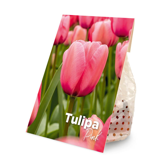 MM-MEC-0201 - 0