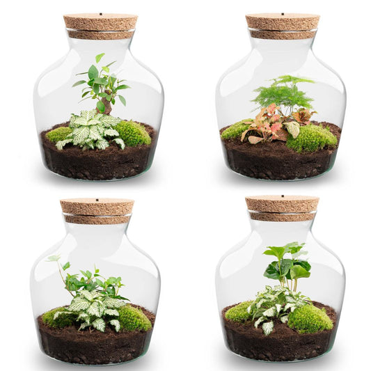 Terrarium DIY Kit with LED lightning - Little Joe - Bottle Garden - ↑ 21.5 cm