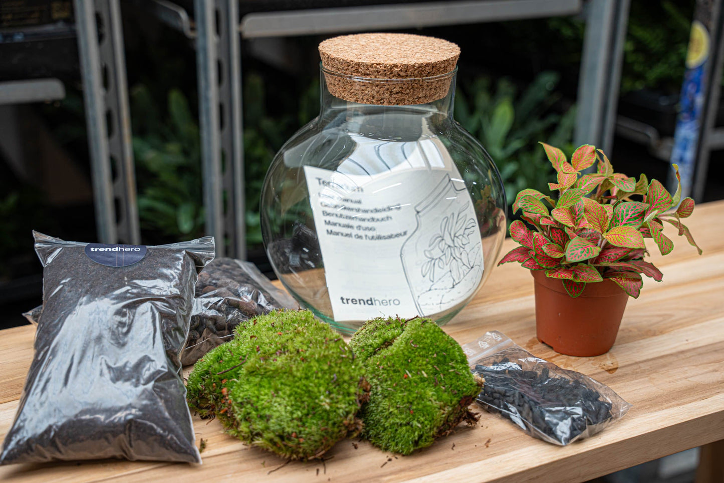Terrarium DIY Kit - Noah - DIY kit - ↑ 20 cm