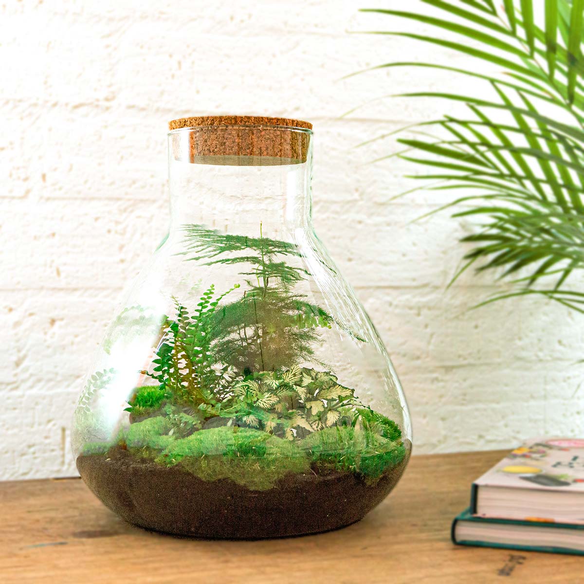 Terrarium DIY Kit - Sam XL - Bottle Garden - ↑ 32 cm