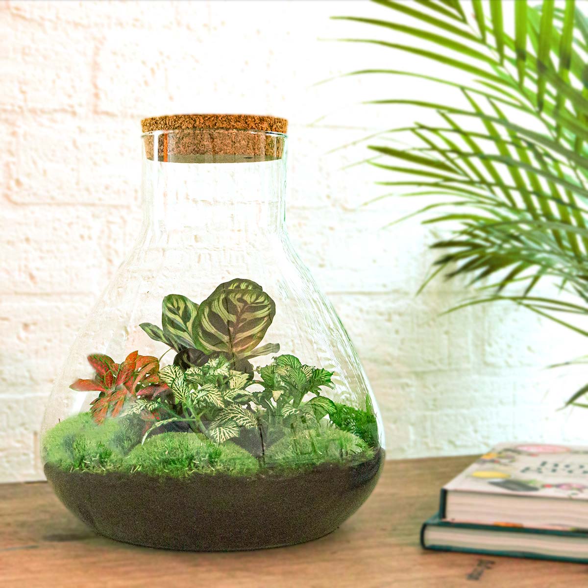 Terrarium DIY Kit - Sam XL Red - Bottle Garden - ↑ 32 cm