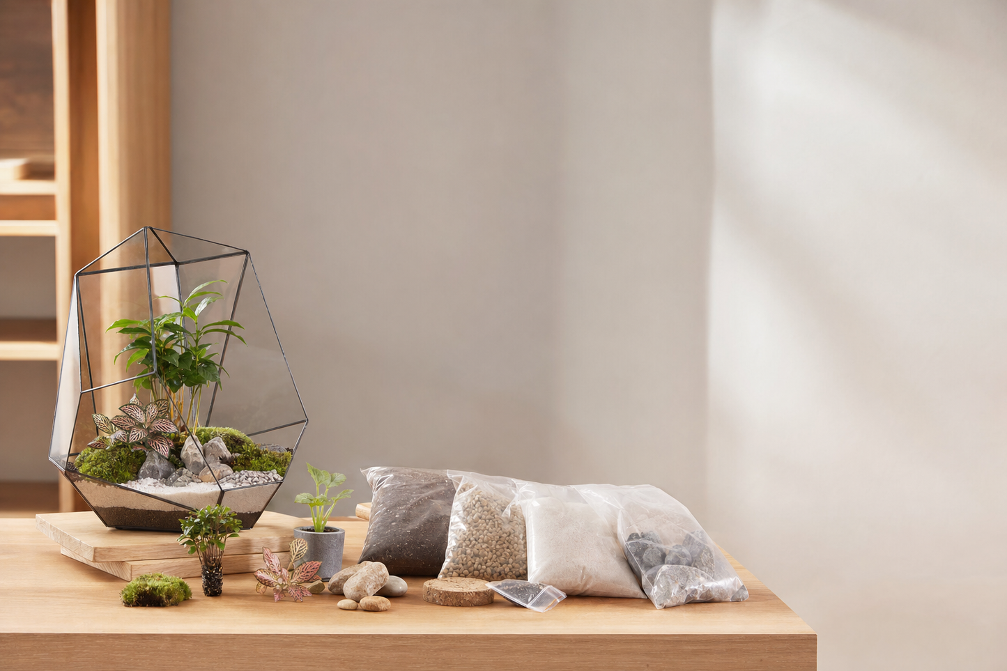Florazo Terrarium DIY Kit - sales image