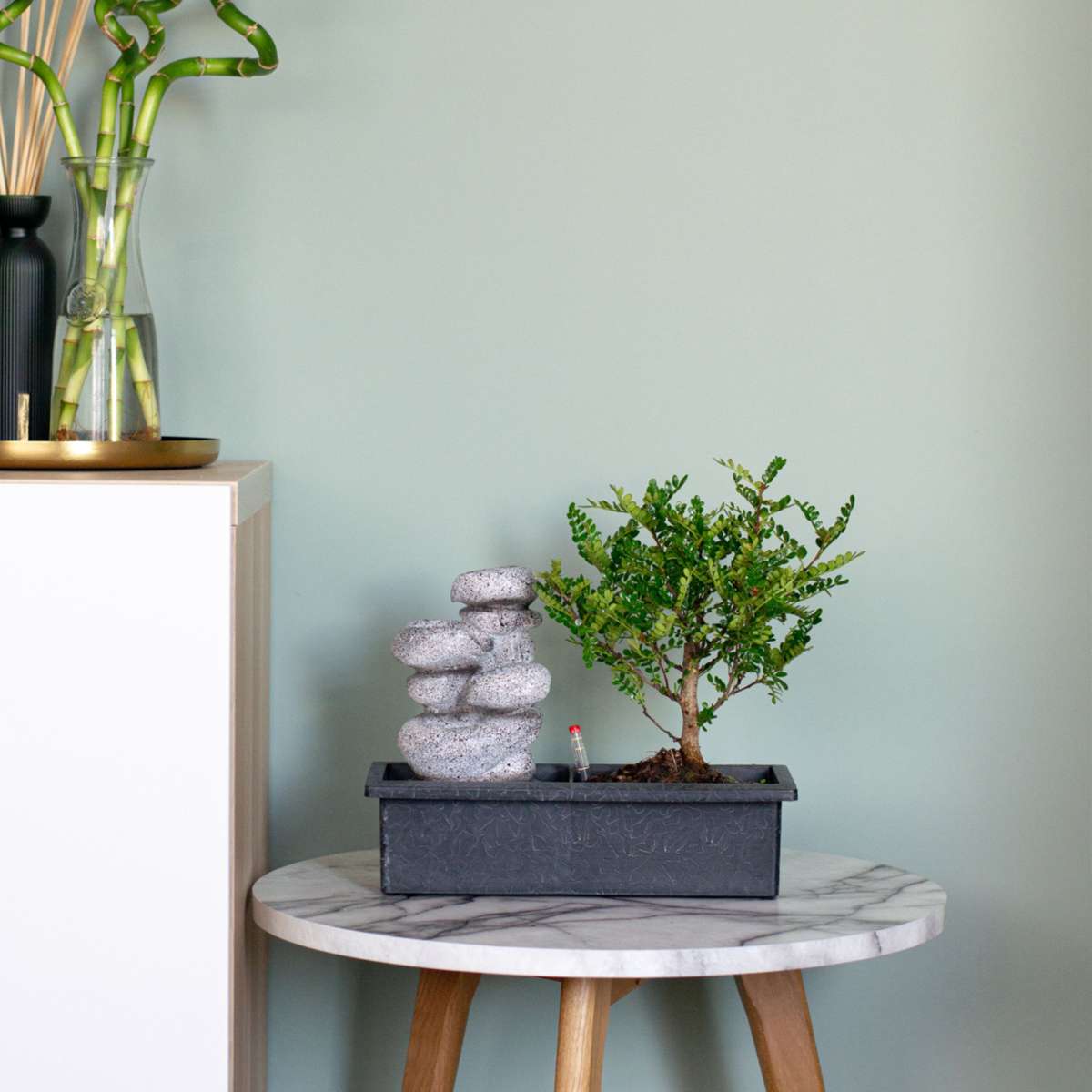 Bonsaiboom met watersysteem - 2 stuks - Zenstenen