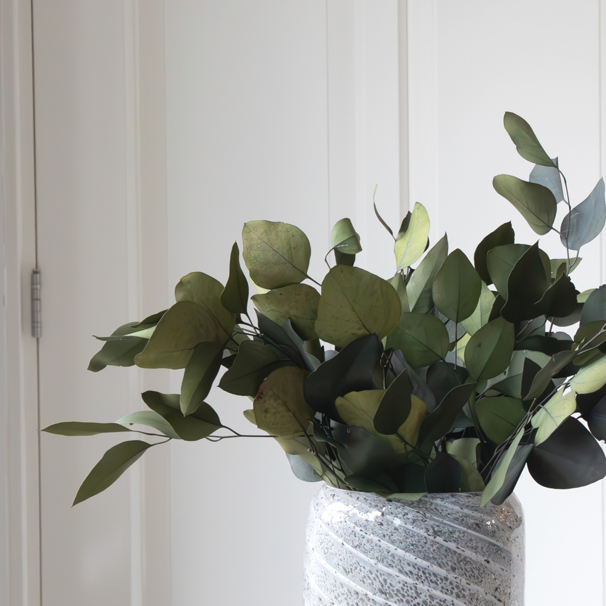 Eucalyptus stuartiana