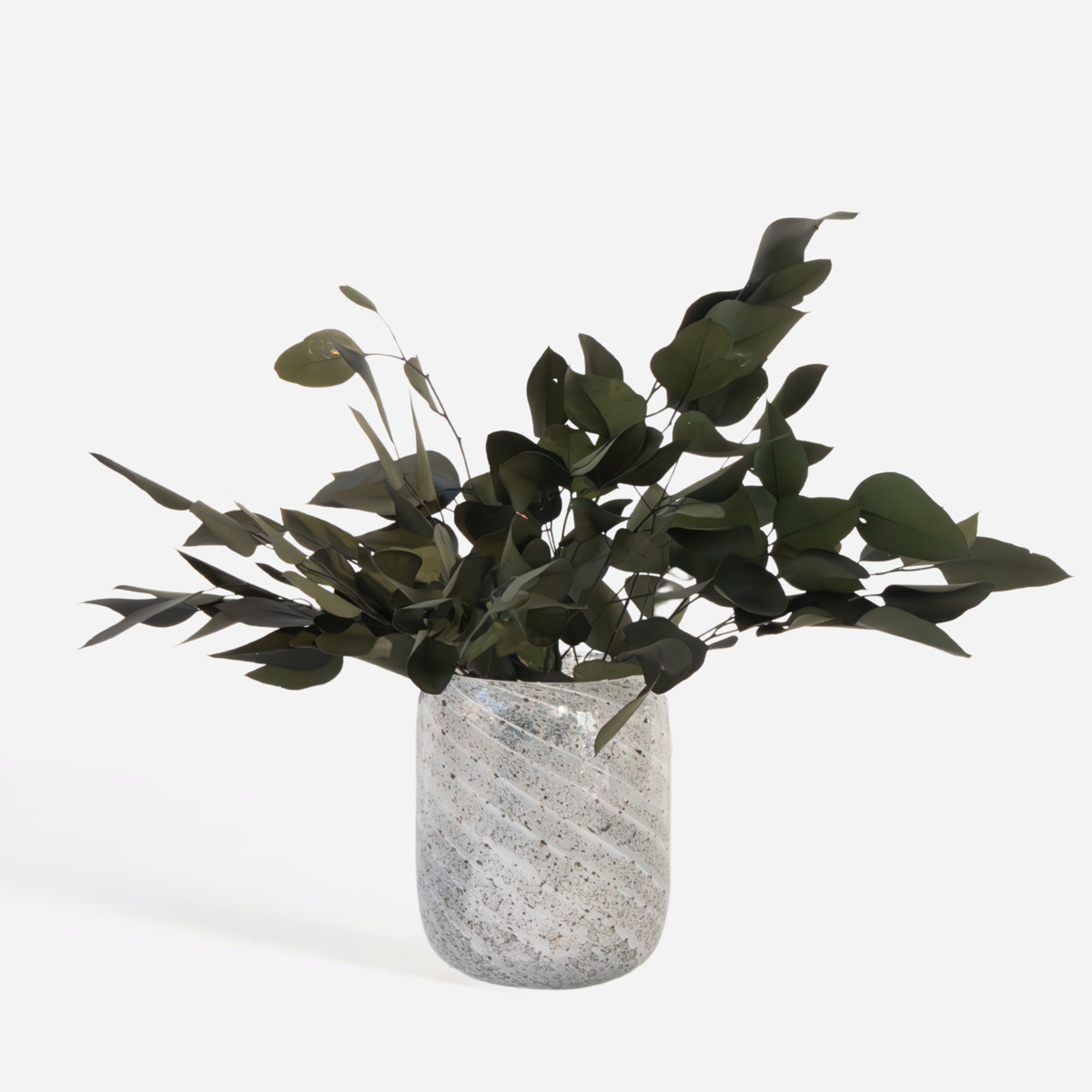 Eucalyptus stuartiana