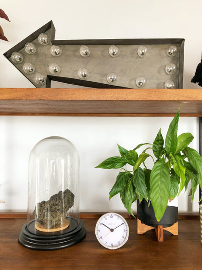 NeXtime Clocks metal alarm clock, 9x9x7.5 cm, with classic design and 'Company Alarm' label on the face.