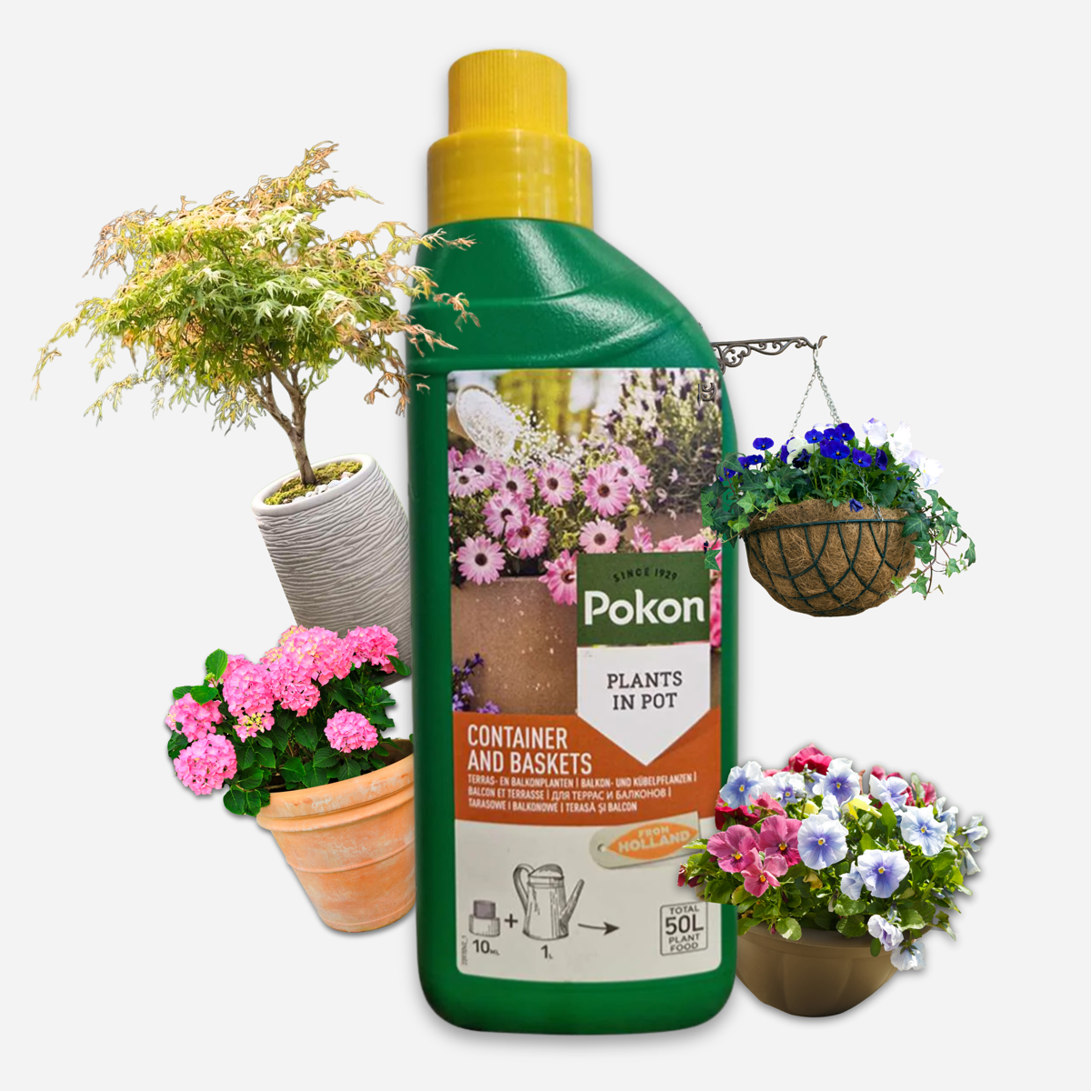 Pokon plantenvoeding terras & balkon 500ml