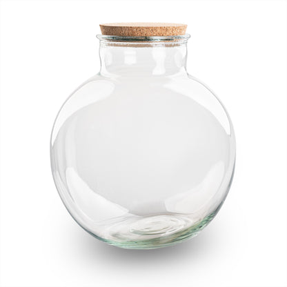 Glass terrarium bottle with cork lid, DIY Florazo NL terrarium kit, featuring small plants and decorative elements inside.
