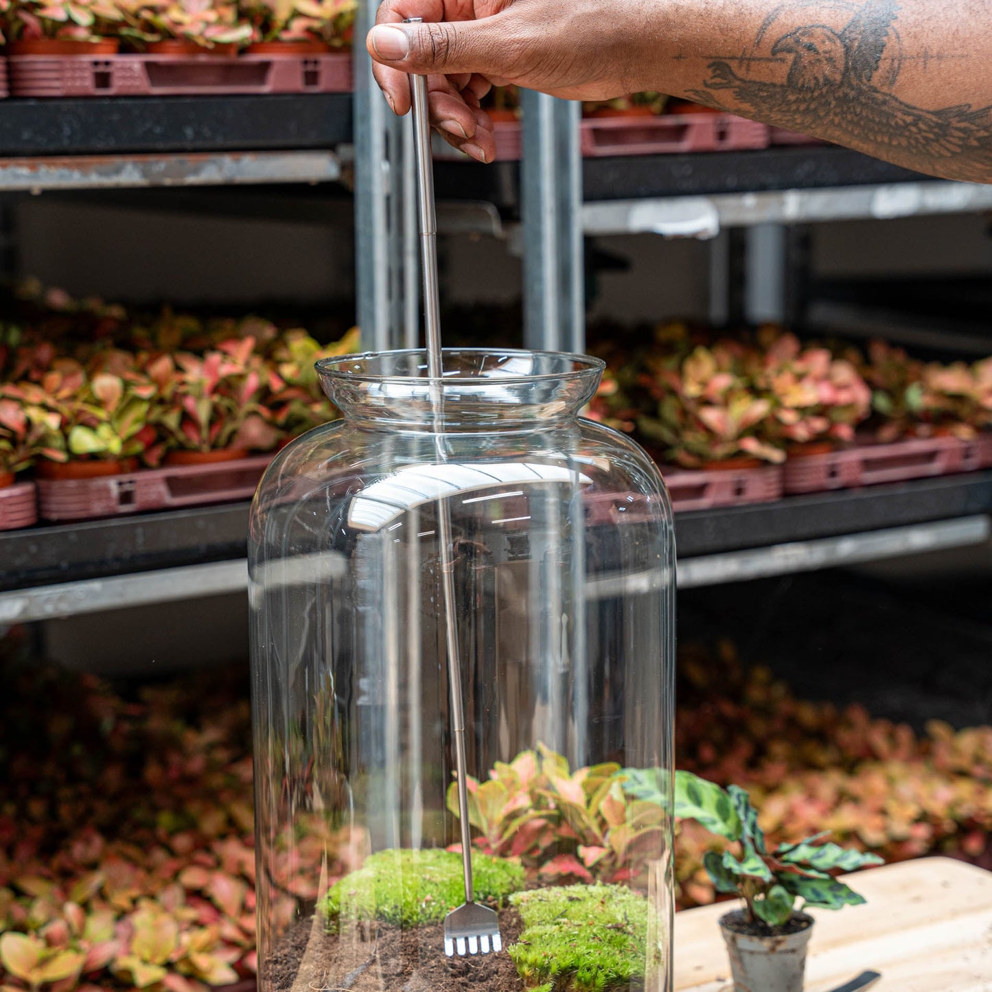 Terrarium Tool - Rake - 16-49 cm - Telescopic - Stainless Steel