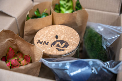 Terrarium Sam - Ø 24,5 cm ↑ 30 cm - Relatiegeschenk