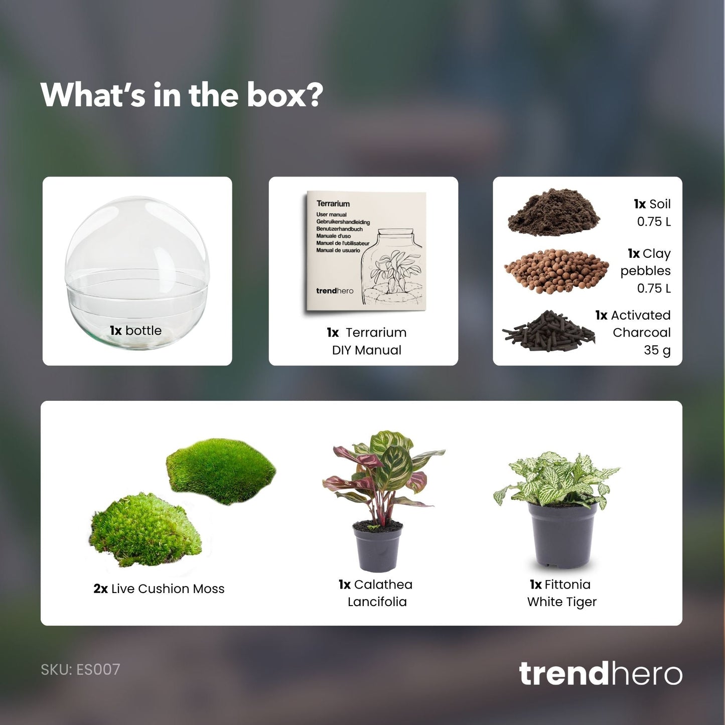 Dome - Two-part round glass terrarium - Bottle garden DIY kit - Ø 20 cm ↑ 20 cm