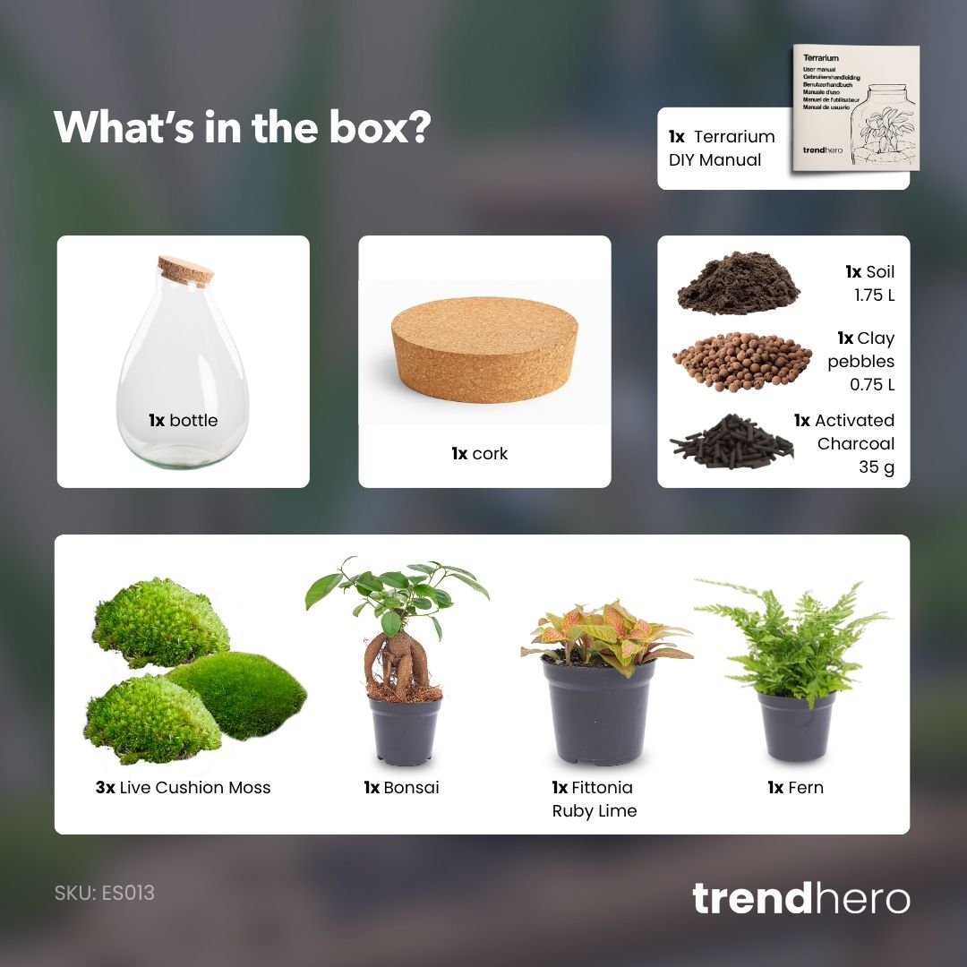 Drop XL Red - Terrarium with cork - Bottle garden DIY kit – Ø 24 cm ↑ 37 cm