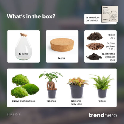 Drop XL Red - Terrarium with cork - Bottle garden DIY kit – Ø 24 cm ↑ 37 cm