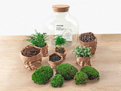 Terrarium DIY Kit - Fat Joe Green + led light - Bottle Garden - ↑ 30 cm