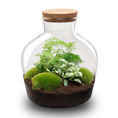 Terrarium DIY Kit - Fat Joe Green + led light - Bottle Garden - ↑ 30 cm