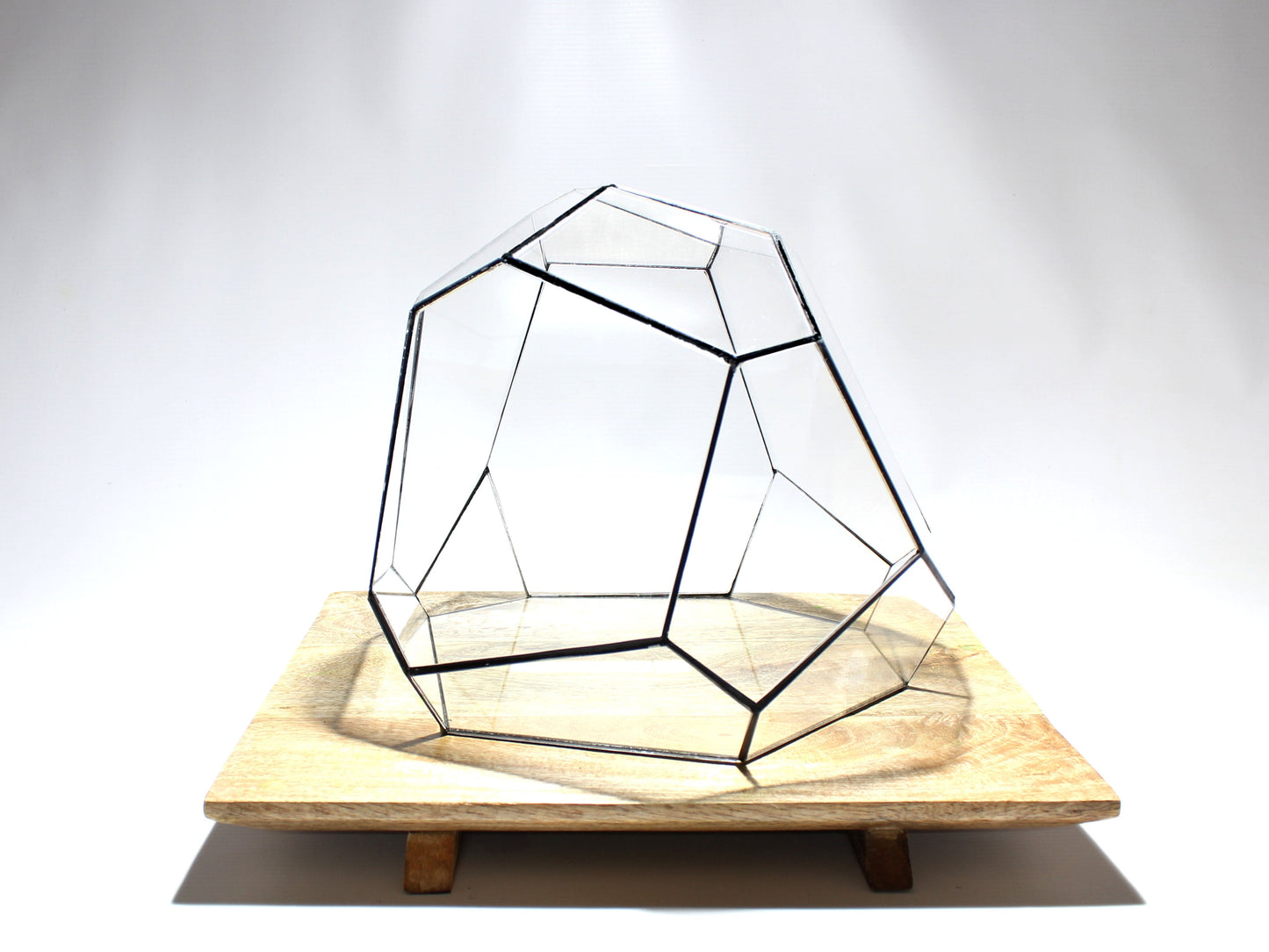 Geometric Terrarium - Torno - Vivarium - ↑ 28 x 26 x 24 cm (LxWxH) - Glass | Florazo