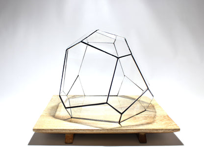 Geometric Terrarium - Torno - Vivarium - ↑ 28 x 26 x 24 cm (LxWxH) - Glass | Florazo