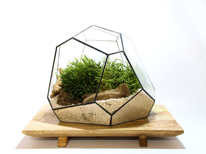 Geometric Terrarium - Torno - Vivarium - ↑ 28 x 26 x 24 cm (LxWxH) - Glass | Florazo