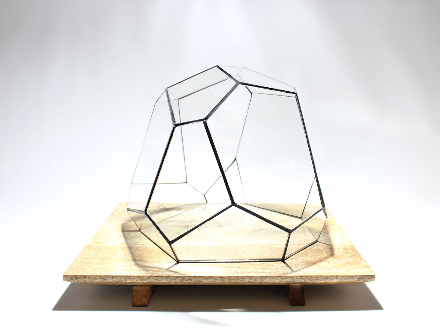 Geometric Terrarium - Torno - Vivarium - ↑ 28 x 26 x 24 cm (LxWxH) - Glass | Florazo