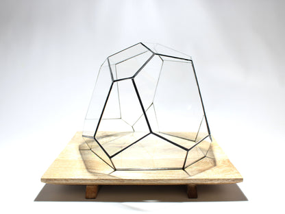 Geometric Terrarium - Torno - Vivarium - ↑ 28 x 26 x 24 cm (LxWxH) - Glass | Florazo