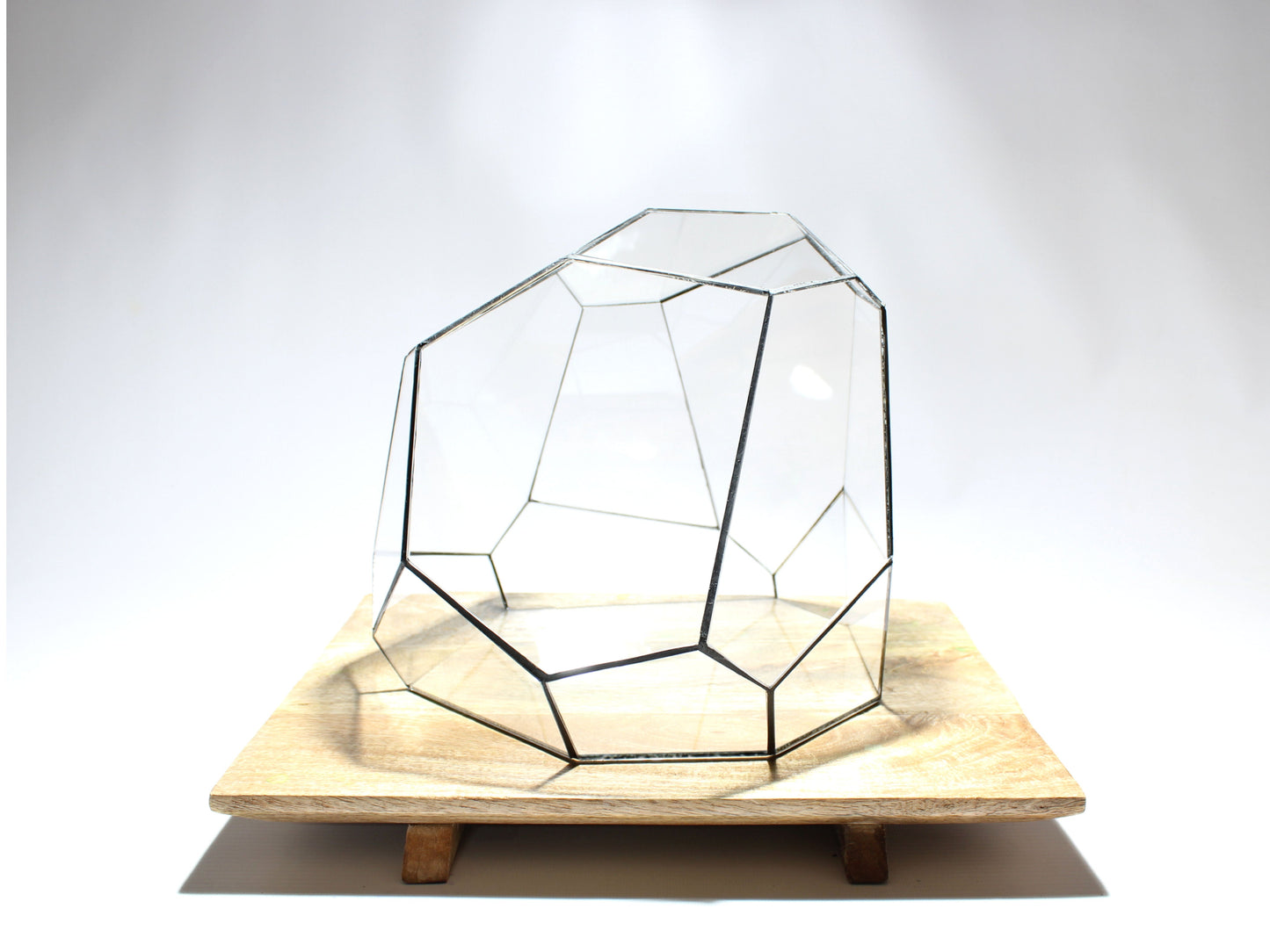 Geometric Terrarium - Torno - Vivarium - ↑ 28 x 26 x 24 cm (LxWxH) - Glass | Florazo