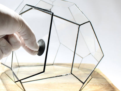 Geometric Terrarium - Torno - Vivarium - ↑ 28 x 26 x 24 cm (LxWxH) - Glass | Florazo