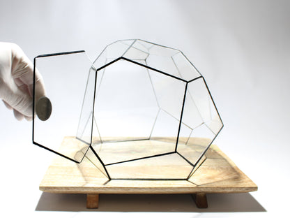 Geometric Terrarium - Torno - Vivarium - ↑ 28 x 26 x 24 cm (LxWxH) - Glass | Florazo