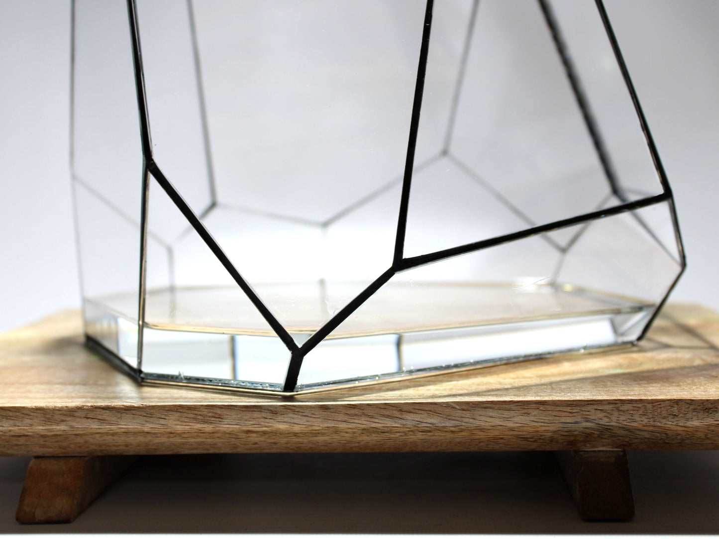 Geometric Terrarium - Torno - Vivarium - ↑ 28 x 26 x 24 cm (LxWxH) - Glass | Florazo