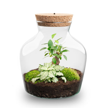 Florazo NL DIY terrarium kit with LED lighting, clear glass bottle, and lush plants for creative indoor gardening.