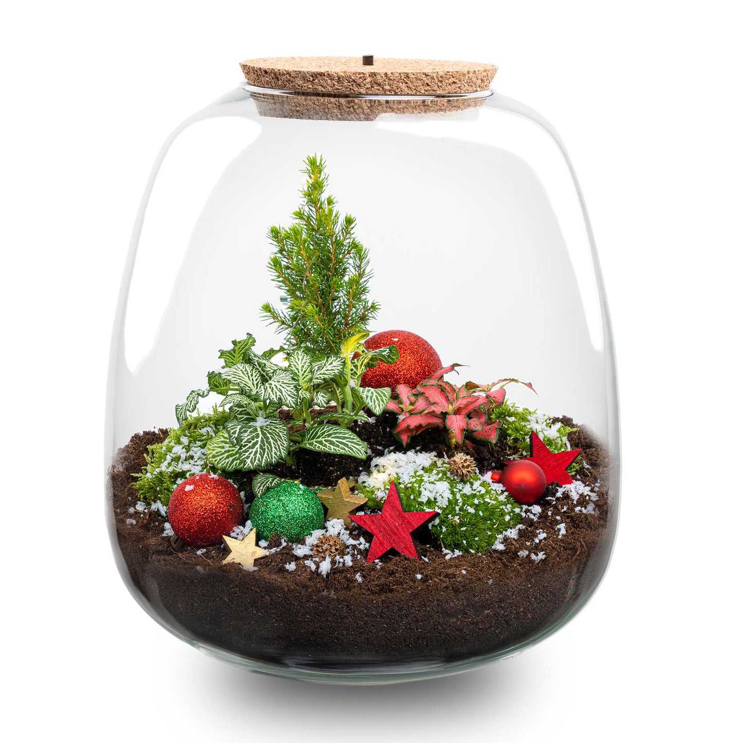 Rudolph Christmas terrarium - Bottle garden DIY kit - Ø 23 cm ↑ 25 cm