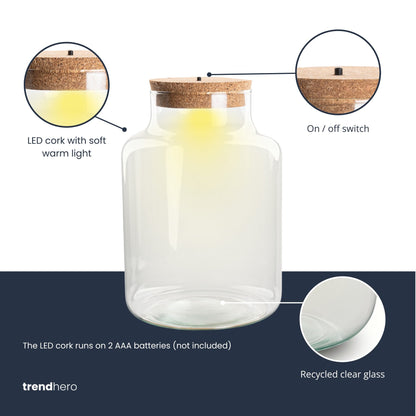 Frosty Christmas terrarium - Bottle garden DIY kit - Ø 17 cm ↑ 25 cm