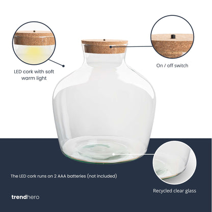 Terrarium with cork - Fat Joe + led cork - Closed terrarium ↑ 30 cm