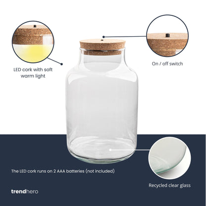 Terrarium bottle garden - Milky with led cork - Ø 21 cm ↑ 30 cm - Terrarium with cork