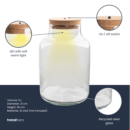 Terrarium bottle 'Milky' with LED-lighting - Closed terrarium Ø 21 cm ↑ 30 cm