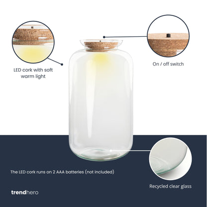 Terrarium with led cork - Sven XL - Closed terrarium ↑ 43 cm
