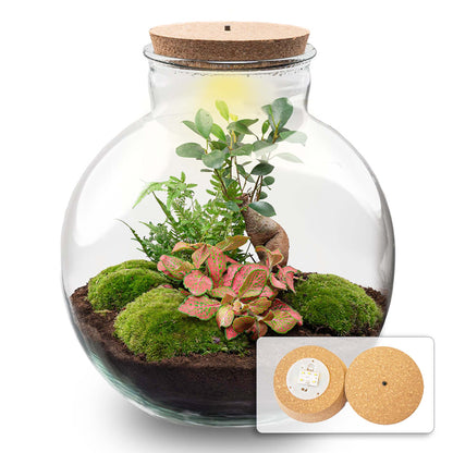 DIY terrarium kit by Florazo NL featuring a glass container with plants, decorative elements, and lighting for creating a mini indoor garden.