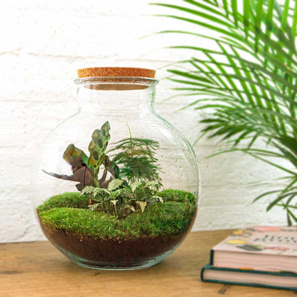 DIY Terrarium Kit by Florazo NL featuring glass container, plants, soil, and decorative stones for creating a miniature indoor garden.