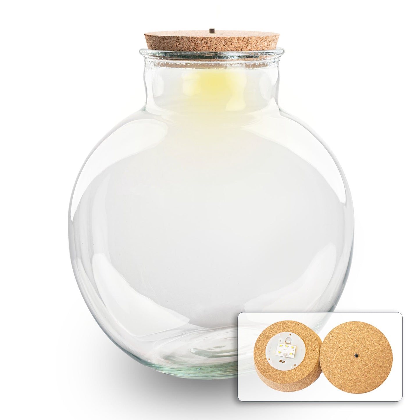 Terrarium bottle with light in cork - Bolder Bob -  ↑ 30 cm