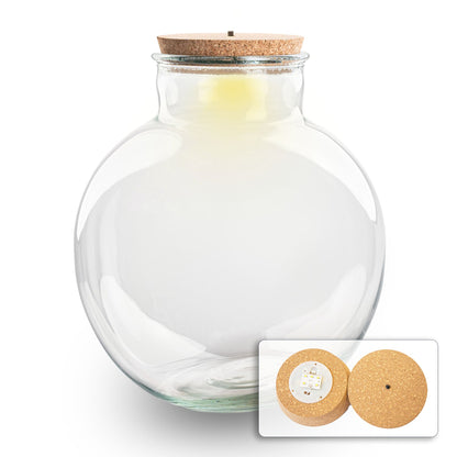 Terrarium bottle with light in cork - Bolder Bob -  ↑ 30 cm