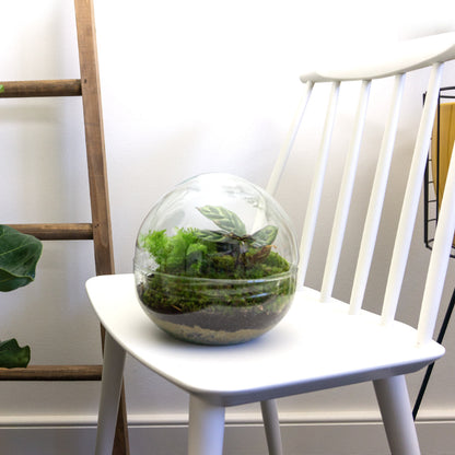 Dome - Two-part round glass terrarium - Bottle garden DIY kit - Ø 20 cm ↑ 20 cm
