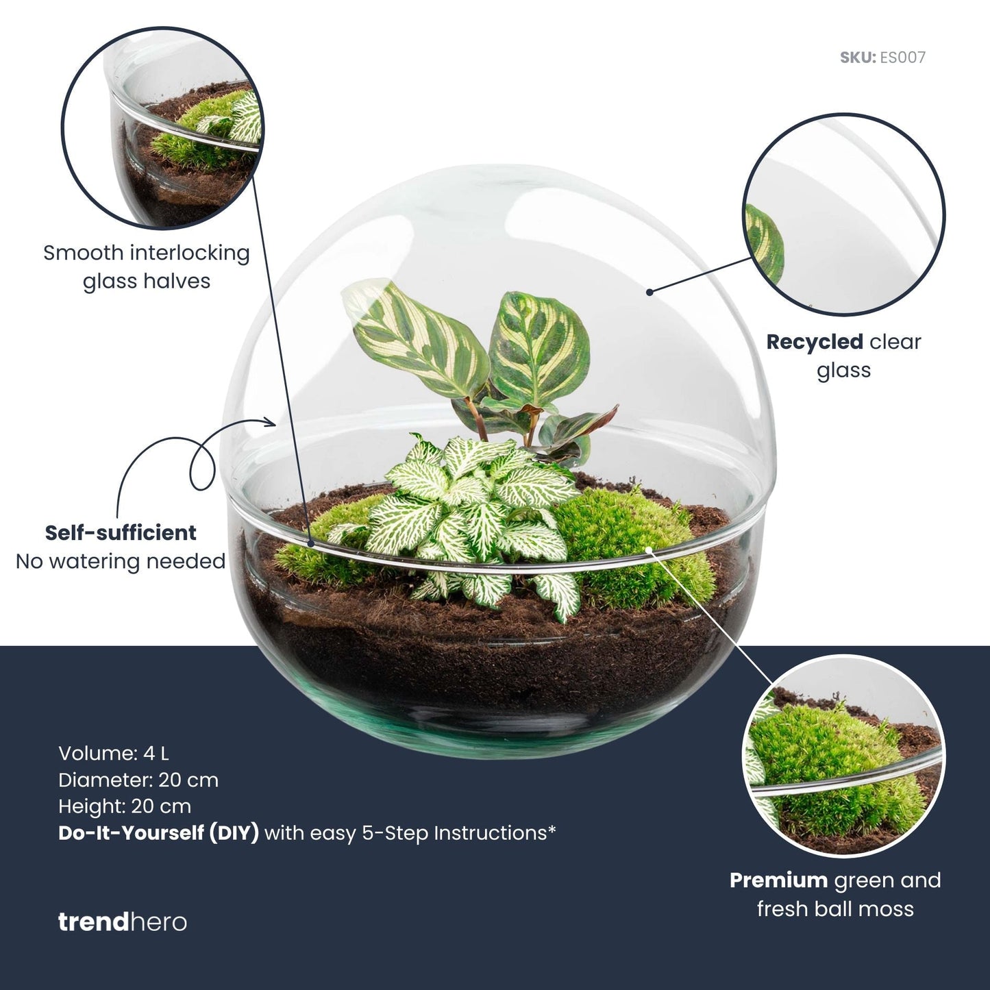 Dome - Two-part round glass terrarium - Bottle garden DIY kit - Ø 20 cm ↑ 20 cm