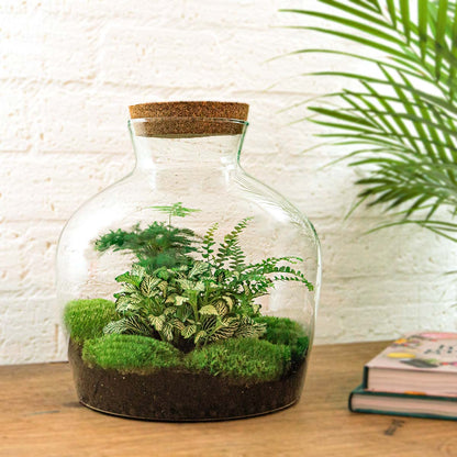 Terrarium DIY Kit - Fat Joe Green + led light - Bottle Garden - ↑ 30 cm