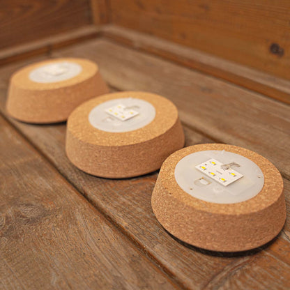 Cork with led - Terrarium cork with light -  3 sizes available